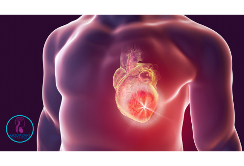Best Cardiac Care Hospital in Rajahmundry – Godavari Hospital Advanced cardiac care and heart treatments at Godavari Hospital Rajahmundry