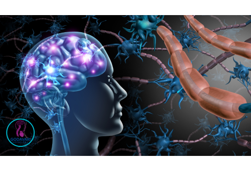 Leading Neuro and Spine Care Hospital in Rajahmundry – Godavari Hospital Comprehensive neuro and spine care at Godavari Hospital Rajahmundry